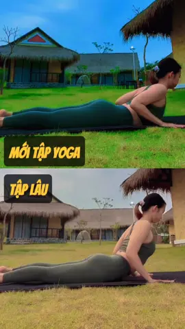 Yoga cho mọi cấp độ từ dễ đến khó #truclyyoga #pilates #yoga 