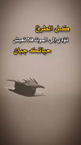 مساء الخير #عبارات #تصميم_فيديوهات🎶🎤🎬 #اكسبلور 