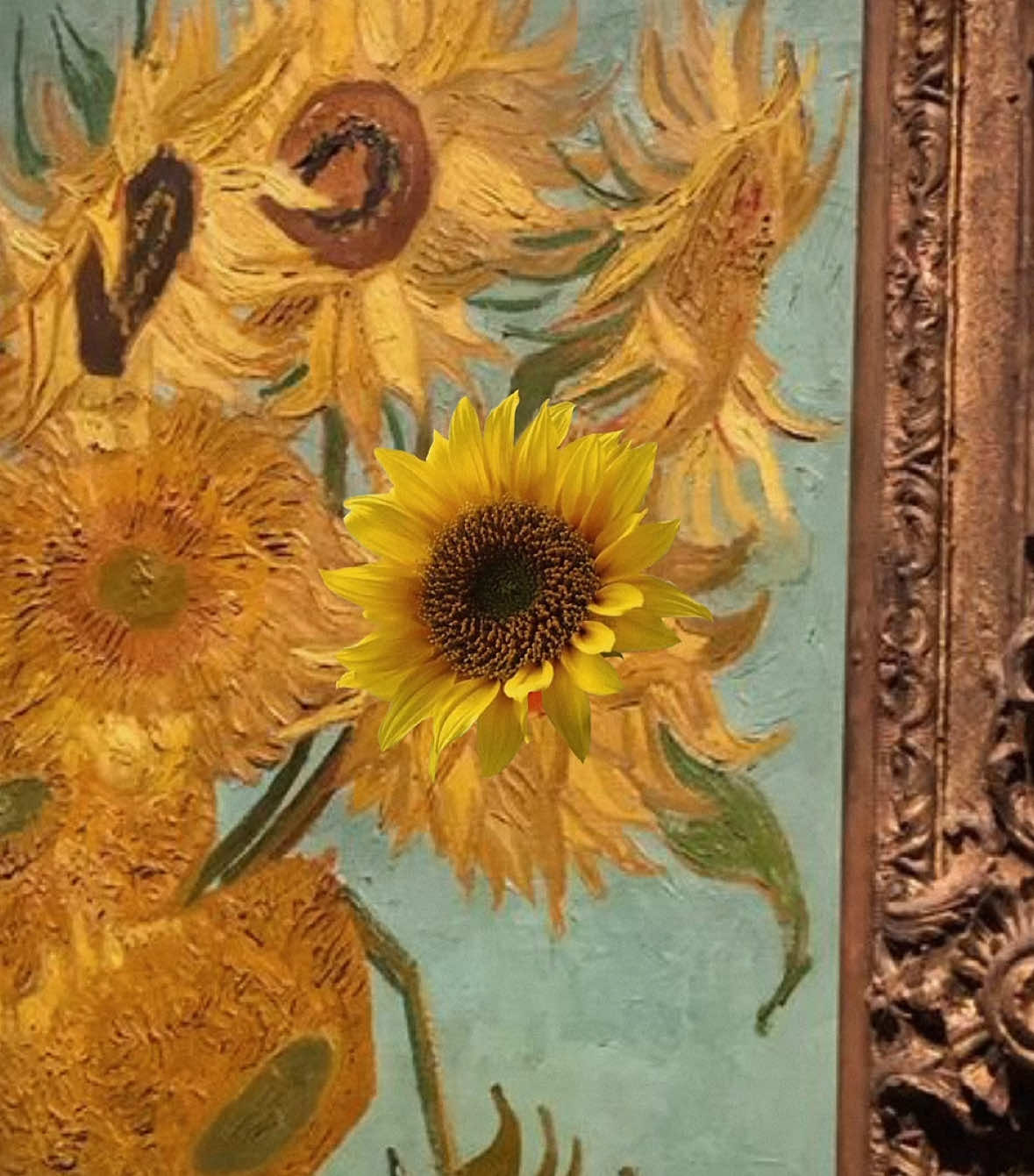 i twist like the sunflower at the sound of your voice | #sunflower #flower #floweraesthetic #flowercore #sunflowers #girlblogger 
