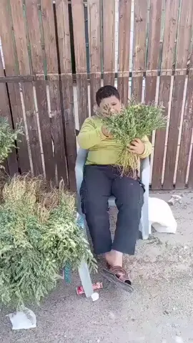 #😂😂😂😂😂😂😂😂😂😂😂😂😂😂😂 #تيك_توك