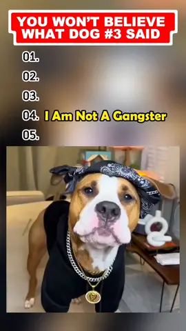 Dogs Talking Moments Funniest 🤣 #funnydogs #funnydogvideos #dogsfunny #talkingdog #foru 