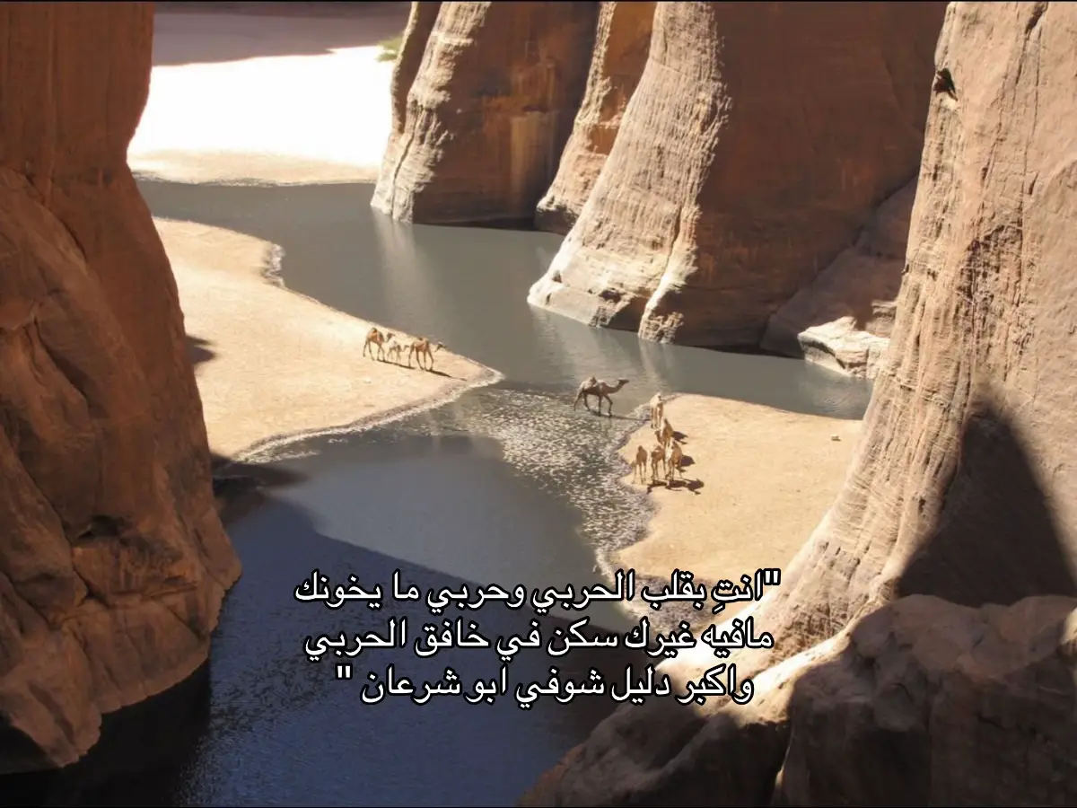 #حرب_اهل_الثلااث_المعجزات #اكسبلور #fypシ 