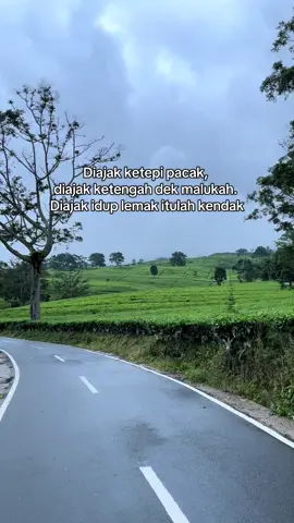 🍃#jemekitegale #pagaralam_salam_jeme_kite #fyppppppppppppppppppppppp 