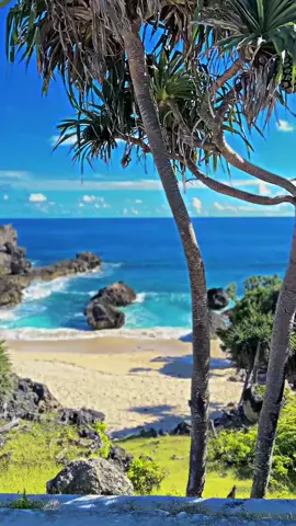 #miom3 #nttpride🏝🔥 