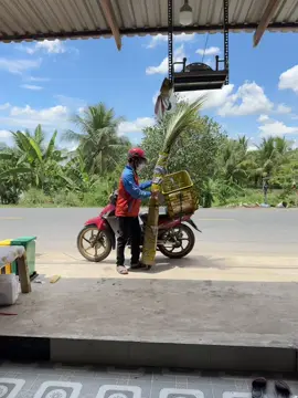 Trời nóng mua dừa là hợp lý rồi 🤣  #hobebar #matnadatset 