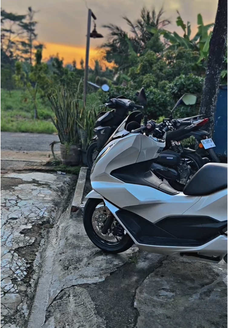 🐳  #CapCut #pcx160 #pcxแต่งสวย #pcx2021 #pcx160ล้อ17แต่งสวย #pcxindonesia #pcx #fyp #viralvideo #sunset 