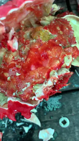 Mukbang cua đỏ tại bè ạ 😍 #xuhuong #trending 