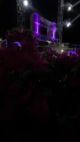 hajatan mode gapura #soundviral #jltaudio #zaidanlightingmalang #pasukannayap #soundsystemlokal #soundsistemjawatimur #soundmalangselatan #fypシ゚viral #fyppppppppppppppppppppppp #fypdongggggggg #soundviral 