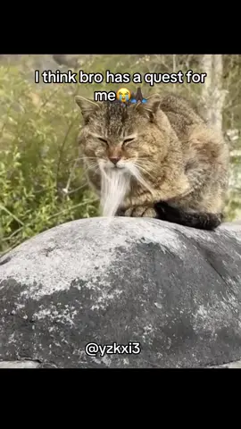 #yzkxi3 #fy #meme 