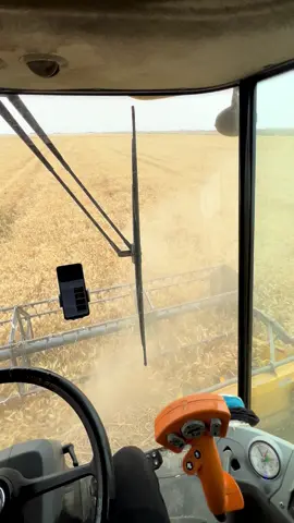 موسم خير علجميع يارب حبايب قلبي صعدو لايكات حلوه مثلكم حصاد حنطه 🌾🌾#الشعب_الصيني_ماله_حل😂😂 #حاصدات_اوروبا_نيوهولند #دلمج_الحبيبه_واسط_الخير #@ماهرسعد @عقيل جاسم✅ @نجاح عبادي 🦅 @, @جـ,ـنْرآلُ @منتظر عزيز الصواف @ليث حبيب الصواف 