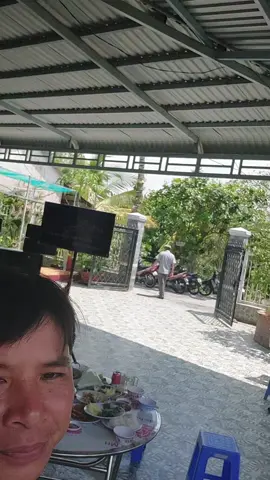 quá trời mấy bà chị hát