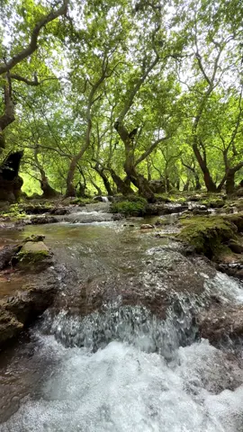 Zoragvan Valley in Barzan region is an attractive place. #kurdistan #nature #barzan #zoragvan #zoragvanvalley #calm #relax #view 