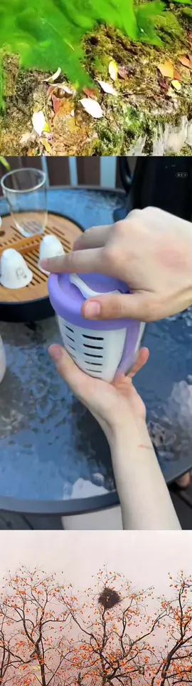 Snack healthy anywhere with this portable fruit cup 🍓🍇 Comes with a built-in fork for mess-free munching—perfect for busy bees, students & gym lovers! 🏃‍♀️🎒 Stay fresh, stay fueled! Grab yours now 🛒✨ #HealthySnacking #AmazonFinds #OnTheGoEssentials #MealPrepGoals #TikTokMadeMeBuyIt #SnackTok #FitLife