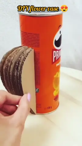 Essa lata de Pringles, um pouco de papelão e muita criatividade com corda de sisal se transformaram em um vaso lindo e cheio de personalidade. Arte, reaproveitamento e amor em cada detalhe. Me conta: você também ama dar nova vida aos objetos? Crédito @handicrafts.usa #DIY #Artesanato #Upcycling #DecoraçãoCriativa #DecoraçãoSustentável #VasoArtesanal #ArteComAmor #ReciclagemCriativa #InspiraçãoCriativa #Reutilizar #CriatividadeSemLimites #DiyDecor #TransformaçãoCriativa #ProjetosDIY #FeitoÀMão #Sustentabilidade #FaçaVocêMesmo #DiyProject #DiyInspiration #HandmadeDecor #DecoraçãoComEstilo #SustentávelÉChique #EcoFriendlyDecor #IdeiasCriativas #ArtesanatoSustentável #DiyLovers #ReutilizeECrie #DecoraçãoComArte
