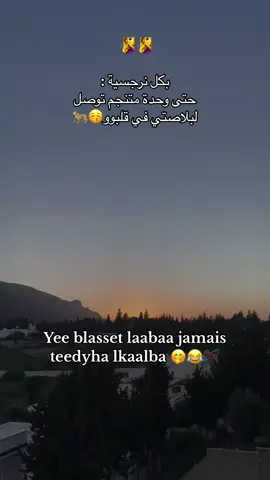 🧏‍♀️🧏‍♀️ #fyp #tunisia🇹🇳 #viral_video #explore #fyyyyyyyyyyyyyyyy #الشعب_الصيني_ماله_حل😂😂 #راي #بلاصة_اللبة_جامي_تديها_الكلبة🐆 #🤣🤣🤣 #🐆 