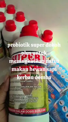 penambah nafsu makan dan menjaga kesehatan hewan ternak sapi kerbau dll
