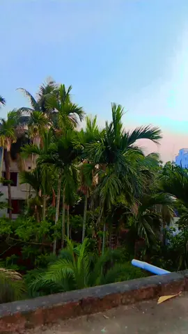 বৃষ্টি হওয়ার পর পরিবেশ টা একটু বেশিই সুন্দর লাগে!🥰🤍🎀#torshamuskan707 #foryou #foryoupage #fypシ゚ 