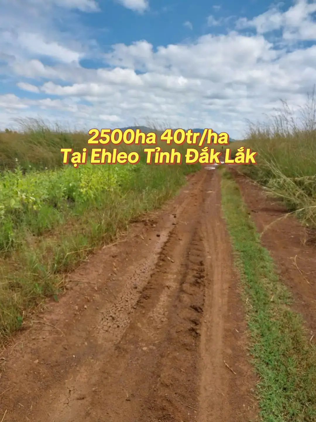 2500ha đất tại Ehleo tỉnh Đắk Lắk#bds #datgiare #bdsgiare #datdaknonggiare #datdaknong #rewviewdatdaknong 