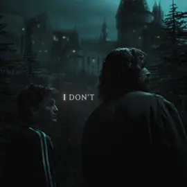Just a quick filler:)  #harrypotter #siriusblack #harrypotteredit #harrypottertiktok #foryou #xyzbca #fyp #foryoupage #4kedit #aftereffectsedits 
