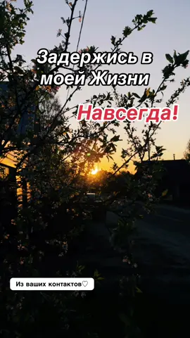 #рекомендации 