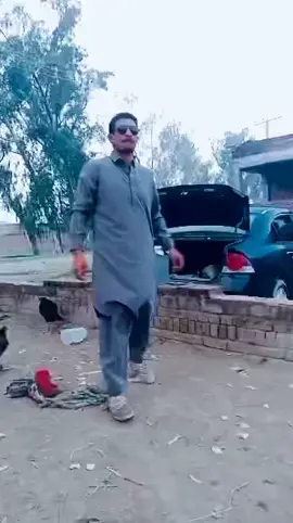 @ضلع نارروال @ذیشان جٹ #narowali #foryoupage❤️❤️ #virul #for #foryoupageofficiall 