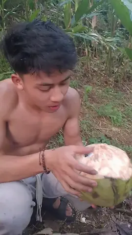 seger guys #fypシ゚ #viraltiktok  #coganindonesia 