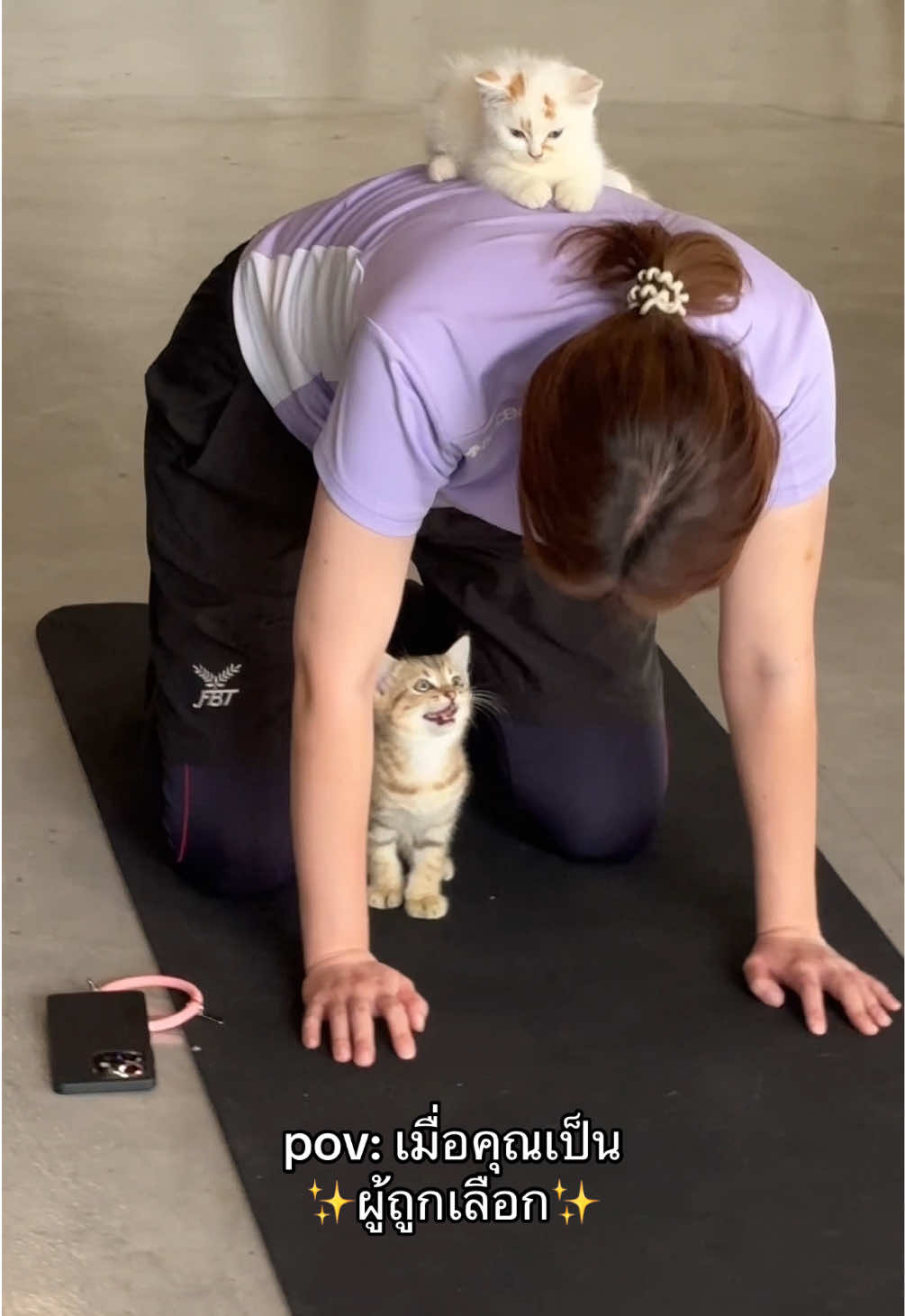 มาหลับบนหลังขนาดนี้ต้องเอากลับบ้านแล้วว 😆 #furapyyogabkk #catyoga #kittenyoga #bangkok #โยคะแมว #โยคะ #ทาสแมว 