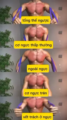 Cách tập luyện cơ ngực tại nhà! Hãy để tôi chia sẻ với bạn phiên bản kế hoạch tập luyện cơ ngực tại nhà của tôi!#gymtainha #tapnguctainha 