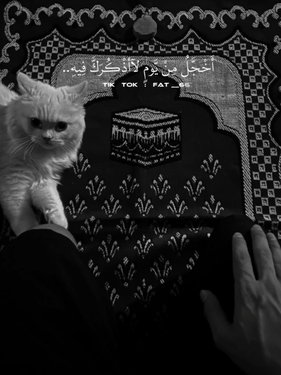 اخجل من يوم لااذكرة فيه... #اللهم_صلي_على_نبينا_محمد #الا_بذكر_الله_تطمئن_القلوب #لا_اله_الا_الله #v #fyp #viral #a 
