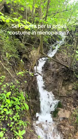 Sei pronta per la prova costume in menopausa? Il 16 maggio parte la nostra Detox di 7 giorni con Ficus Vita Gel e un piano alimentare dedicato! Un’occasione perfetta per sentirti più leggera, energica e pronta all’estate! Sei dei nostri?  Scrivi “OK” nei commenti! #menopausa #menopausaprecoce #sintomimenopausa #donneinmenopausa