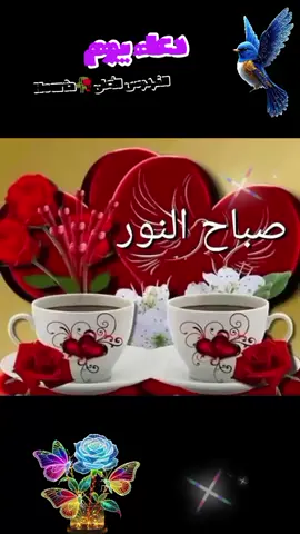 #دعاء #يوم #الاثنين #28 #4 #2025 #صباح_الخير #يسعدلي__اوقاتڪۘم #🌹🌹🌹 #صباحكم_أحلى_صباح #❤️ #صباحكم_معطر_بذكر_الله  #🤲🤲🕋🕋🤲🤲 #pourtoi #لك #يارب❤️ #foruyou 