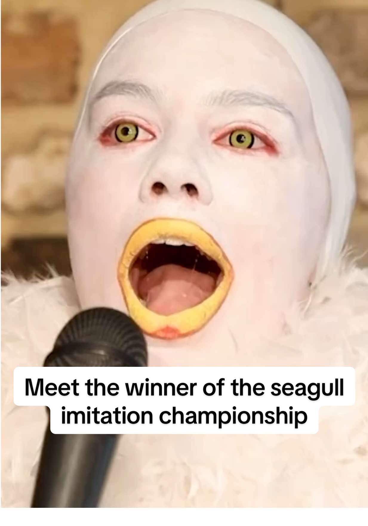 Contestants vying to be the best seagull imitators faced off against each other in the Belgian coastal town of De Panne on April 27, in the fifth edition of the European seagull screeching championship. #seagull #gull #belgium #championship #bird #screeching