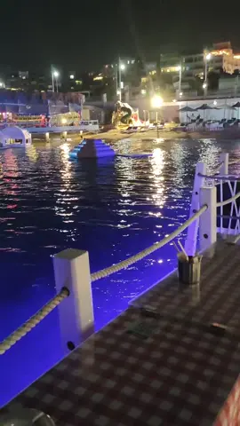 #بعد_حين_يبدل_الحب_دارا  #ام_كلثوم #الغردقه #مصر 