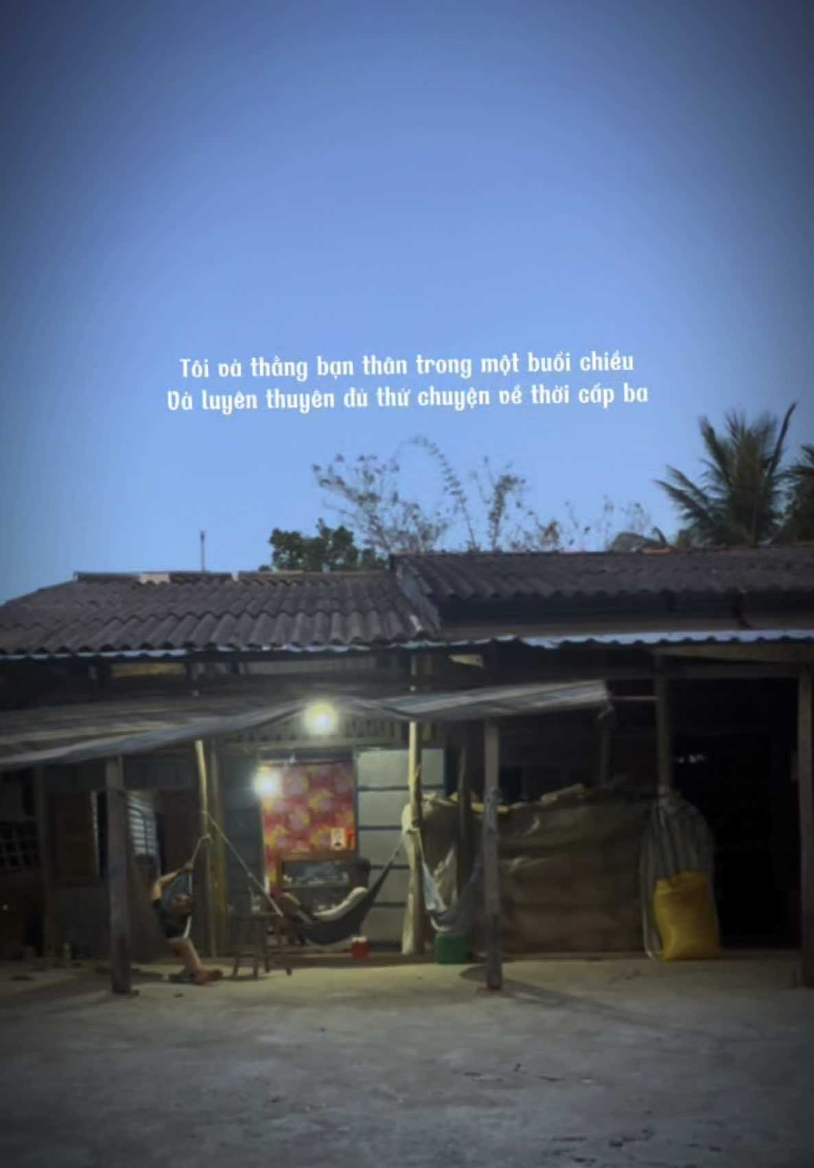 Có những buổi chiều...#longnonla #thuguinguoigiaothu 