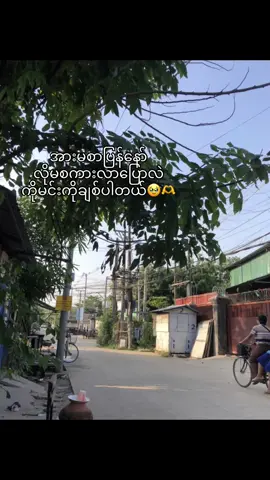 #မင်းဖစ်နေဖို့ပဲလိုတာပါအချစ်ရယ်🥀 #fell#ရောက်စမ်းfypပေါ်😒myanmartiktok #လက်ပါရင်လိုက်ခ်ပေးရန်🤓 #fpryou 