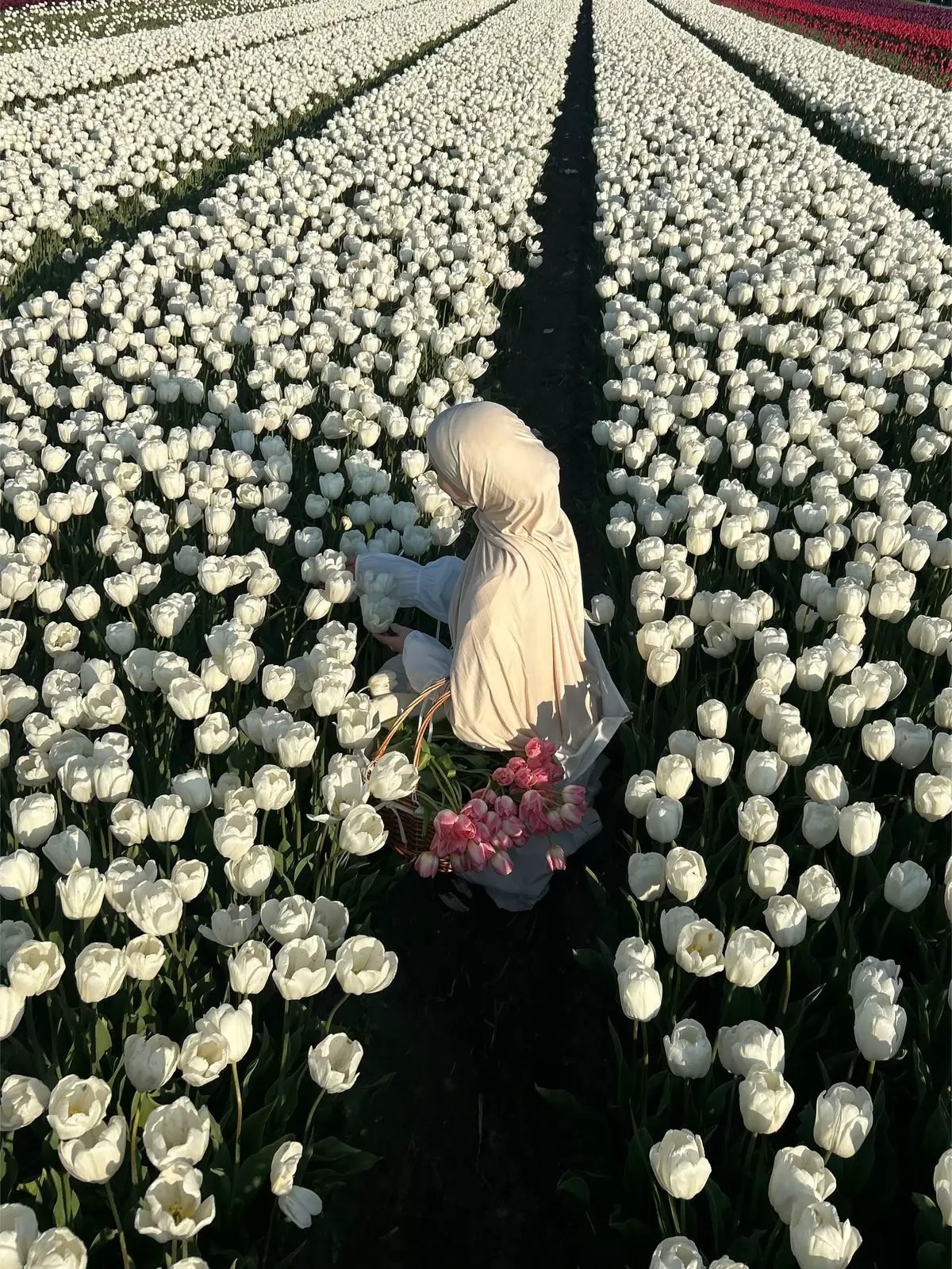 #modestfashion #hijabstyle #tulips #ootdhijab #hijabi 