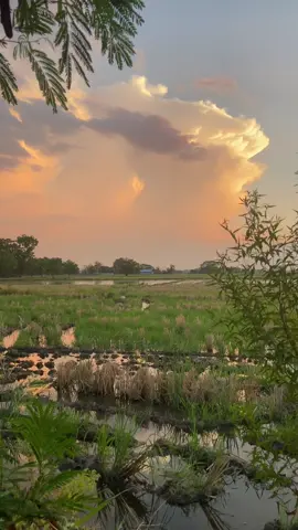 ☁️🍃#peaceful #vibes #nature #trending #nuevaecija #gabaldonnuevaecija 