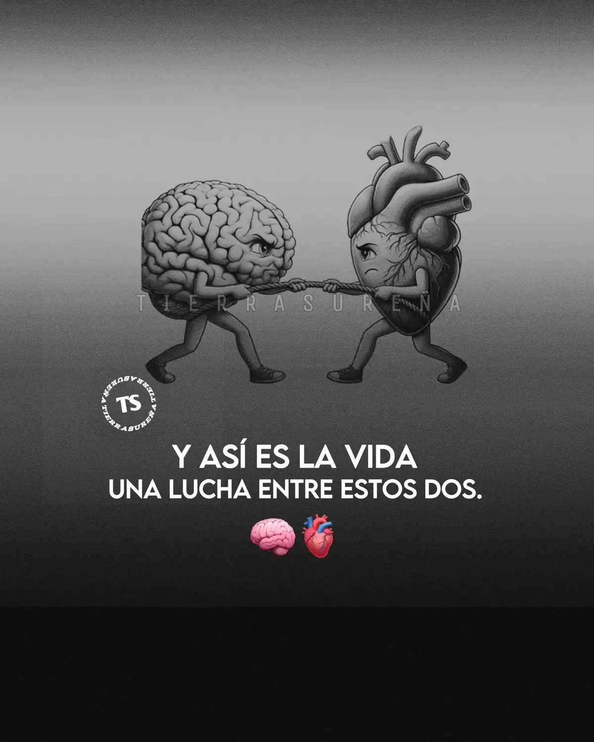 #frasessureña #reflexion #parati #tierrasureña #sigueme_para_mas_videos_asi 