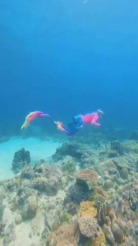 Tangkep ikan inii 😭😭😭