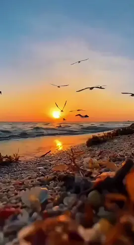 سبحان الذي لا تسكن الأرواح إلا بحبه، ولا تطمئن القلوب إلا بذكره، ولا تزكو العقول إلا بمعرفته، ولا يُدرك نجاح إلا بتوفيقه، ولا تُنال سعادة إلا بطاعته