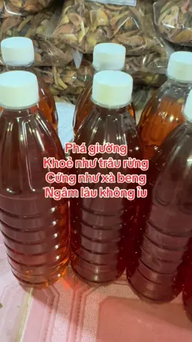 #thinhhanh #roiloancuongduong #bothan #trauco #xuhuongtiktokk 