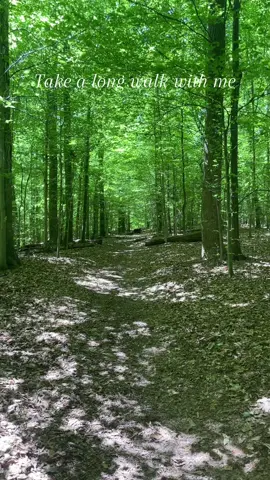 Come for the pretty trees, stay for the Snake Snagger 2000 #nature #walk #hike #virginia #relaxing 