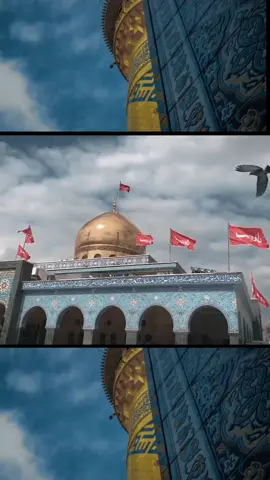#عالت_العياله_اكعد_ياسبع  #الامام_العباس_عليه_السلام  #الامام_العباس #العباس #العباس_عليه_السلام #زينب  #عباس #ياعباس #يازينب #يازينب_يامولاتي #السيدة_زينب #السيدة_زينب_سلام_الله_عليها  #الشام #الشامي #سوريا #العراق  #ياحسين_ياشهيد_كربلاء #ياحسين  #حسابي_جديد #حسابي #حساب  #أحمـ🆔ـدألــفاطــمي #تيك_توك  #حسابي_الرسمي_على_التيك_توك  #تصميم_فيديوهات🎶🎤🎬  #اكسبلور #اكسبلورexplore #fyp  #foryou #foryoupage #fypシ #fypシ゚ #fy #مشاهير_العرب 