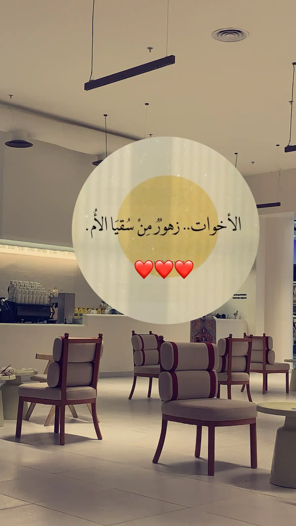 #كسبلور_explor #ترند #xuhuong #خواتي_اجمل_شي ♥️
