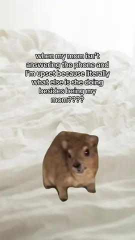 #CapCut 