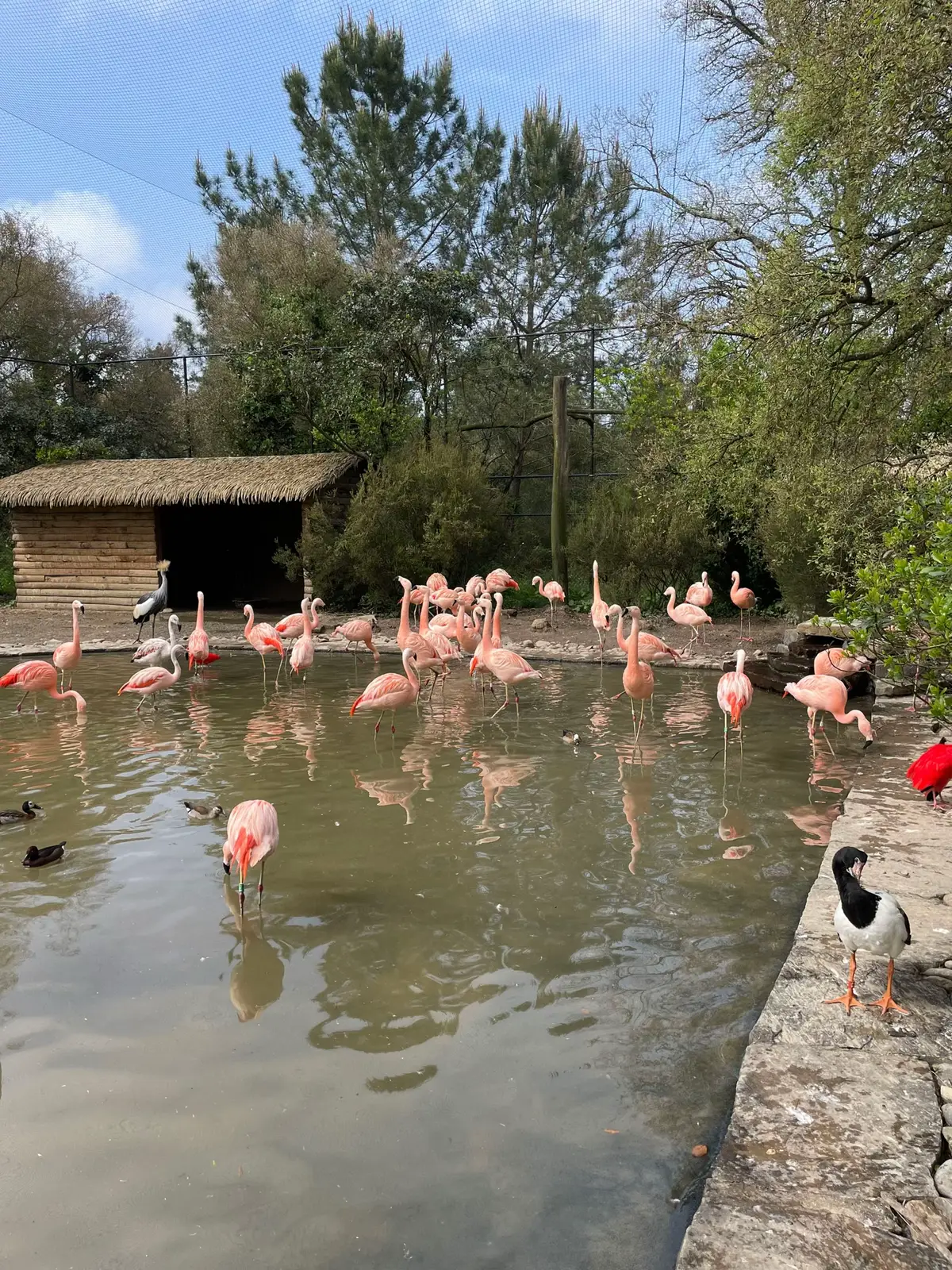 #aprem#zoo#copines 🤍@Fanny Caballero 