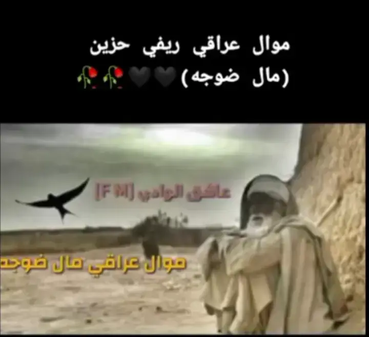 #موالات_حزينة_عراقية💔 
