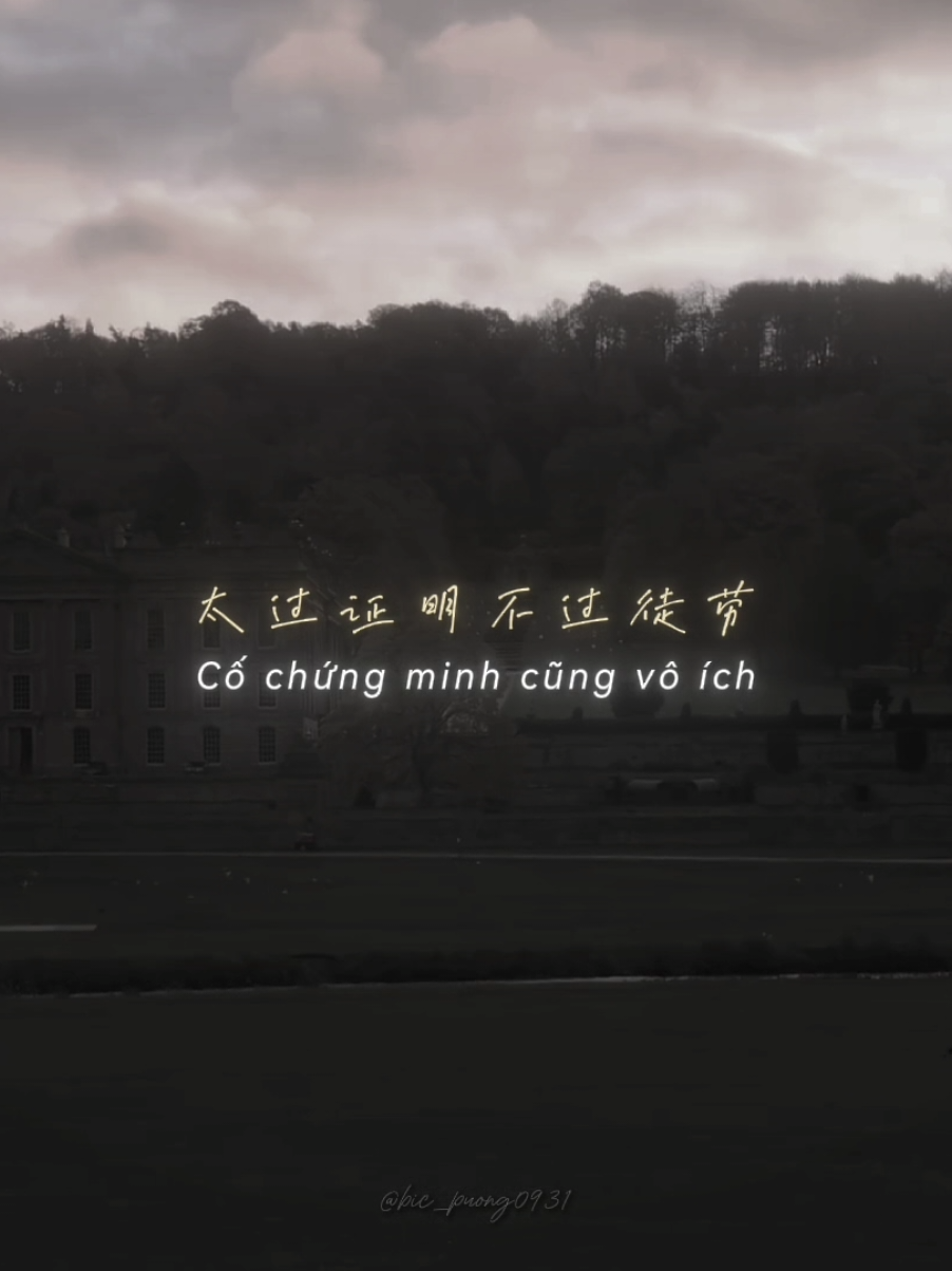 太过证明不过徒劳...#staypositive♫ #bic_puong0931 #aettentertainment #nhactrung 