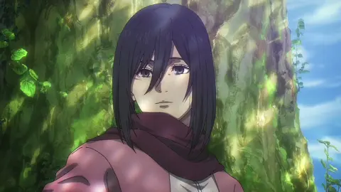 Video thô mikasa#xh #animeedit #xuhuong #aimegirl #aot#actackontitans #mikasaackerman 