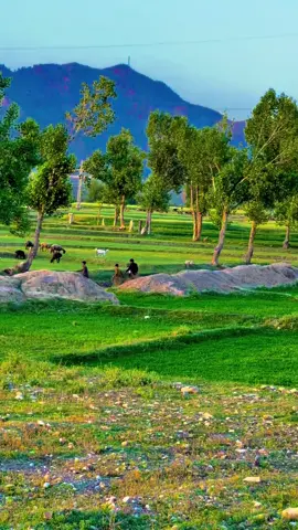 Beautiful View Of Kurram 🦋❤️🌸🌲 . . . . . . . . . . . . . . . . . . . . . . . #foryou #foryoupage #naveed_ahmad_10 #kurram_agency #lower_kurram #sadda #sateen #parachinar_beauty #tirahvalley #explore 